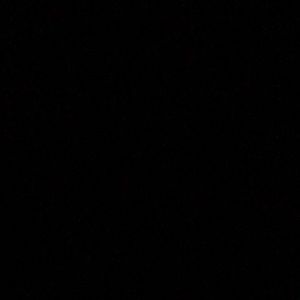 Meet your Posher, Hayden